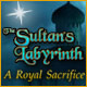 Download The Sultan's Labyrinth: A Royal Sacrifice game