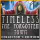 Download Timeless: The Forgotten Town Collector's Edition game