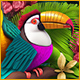 Twistingo: Bird Paradise Game