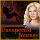 Unexpected Journey Game