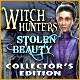 Download Witch Hunters: Stolen Beauty Collector`s Edition game