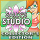 Download Sally's Studio Collector's Edition game