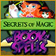 Download Secrets of Magic: The Book of Spells game