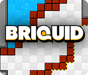 Briquid game