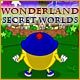 Wonderland Secret Worlds Game