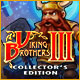 Download Viking Brothers 3 Collector's Edition game